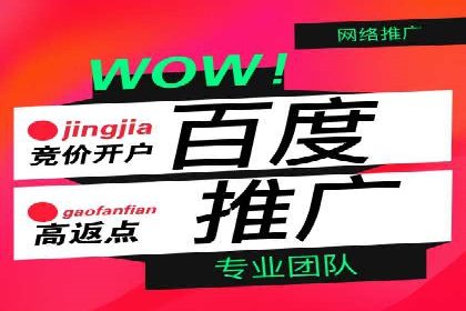 百度竞价广告投放技巧大揭秘，看这五个成功案例